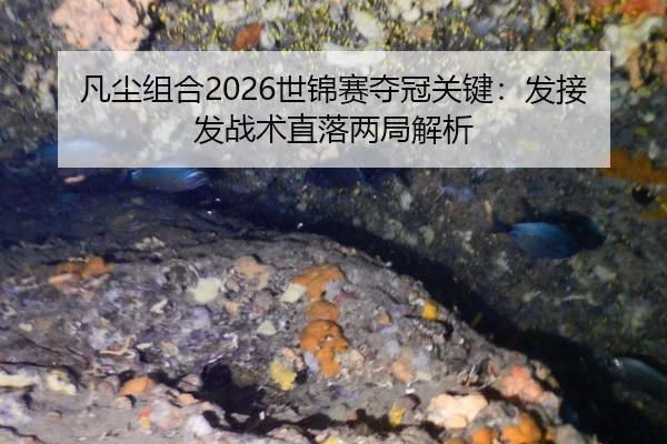 凡尘组合2026世锦赛夺冠关键：发接发战术直落两局解析